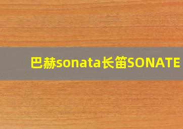 巴赫sonata长笛SONATE VI